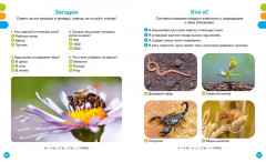 Животные-малютки - Фото 7