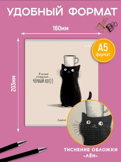 Комплект тетрадей «Послушный чёрный кот»