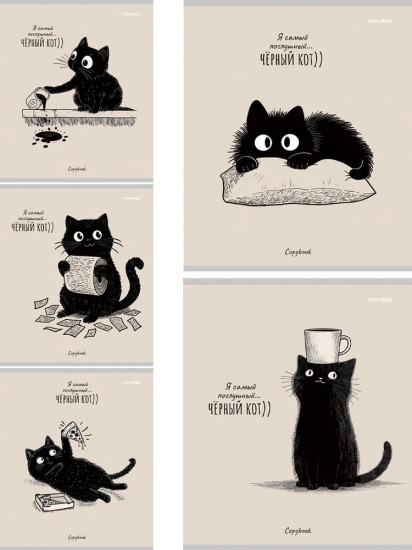 Комплект тетрадей «Послушный чёрный кот»