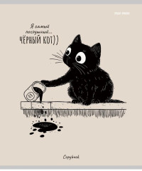 Комплект тетрадей «Послушный чёрный кот» - Фото 5