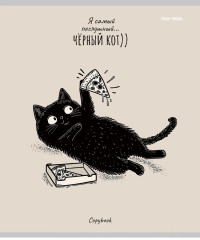 Комплект тетрадей «Послушный чёрный кот» - Фото 7