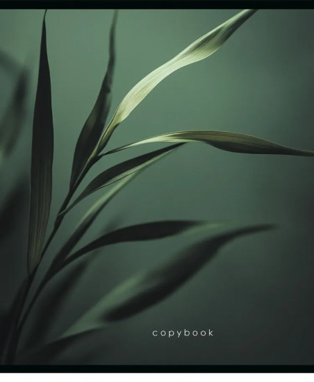 Комплект тетрадей «Макро»