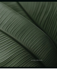 Комплект тетрадей «Макро» - Фото 6