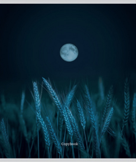 Комплект тетрадей «Лунные пейзажи»