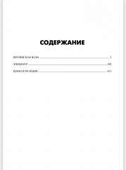 Берлинская жара. Эпицентр. Цепная реакция - Фото 7