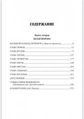 На задворках великой империи. Книга 2 - Фото 9