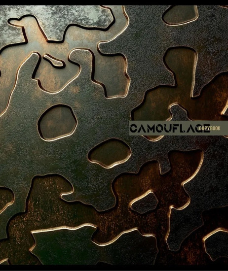 Комплект тетрадей «Разный камуфляж»