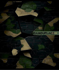 Комплект тетрадей «Разный камуфляж» - Фото 4