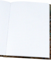 Книжка записная «Фотография котиков» - Фото 2