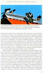 Жизнь певчих птиц - Фото 6