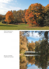 Мой пушкинский век - Фото 4