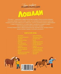 Лошади - Фото 6