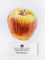 Склейка для акварели «White Swan» - Фото 9