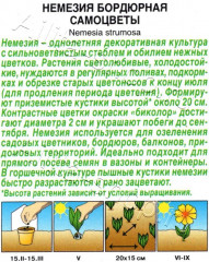 Семена немезии бордюрной «Самоцветы» - Фото 1