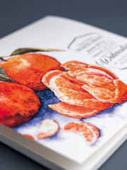 Склейка для акварели «White Swan» - Фото 6