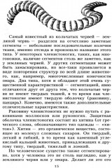 Популярная анатомия. Строение и функции человеческого тела - Фото 11