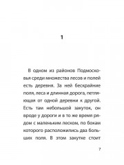 Улыбка синего дома - Фото 3