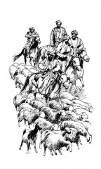 На заре туманной юности - Фото 10