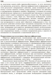 Нормальная физиология - Фото 10