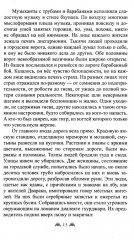 Музыка души - Фото 8