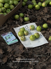 Семейный лексикон - Фото 1