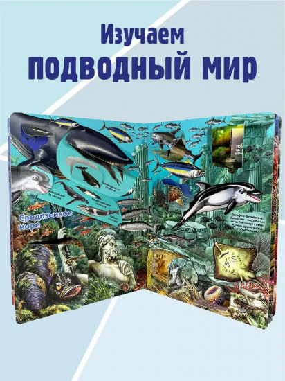 Что там, под водой? Энциклопедия с окошками