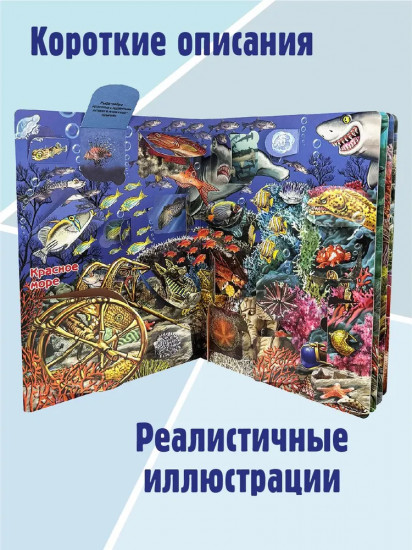 Что там, под водой? Энциклопедия с окошками