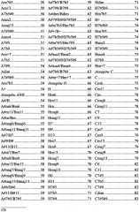 Игра на гитаре. Проще не бывает - Фото 8