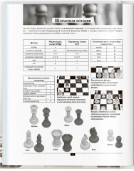 Шахматы. Самый полный самоучитель для начинающих - Фото 4