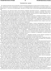 Аллея Хогана. Нестандартная стрельба - Фото 5