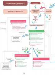 Йога vs цигун. Базовые техники - Фото 10