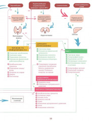 Йога vs цигун. Базовые техники - Фото 11