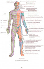 Йога vs цигун. Базовые техники - Фото 13