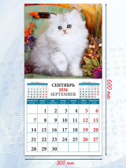 Календарь настенный на 2026 год «Котята» - Фото 2