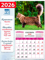 Календарь настенный на 2026 год «Кошки мира» - Фото 1