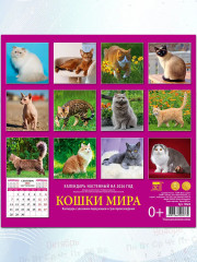 Календарь настенный на 2026 год «Кошки мира» - Фото 3