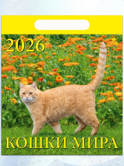 Календарь настенный на 2026 год «Кошки мира» - Фото 4