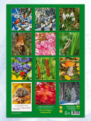 Календарь настенный на 2026 год «Календарь природы» - Фото 3