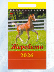 Календарь-домик на 2026 год «Год лошади. Жеребята» - Фото 4