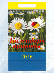 Календарь-домик на 2026 год «Календарь природы» - Фото 4