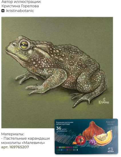 Набор бумаги для пастели