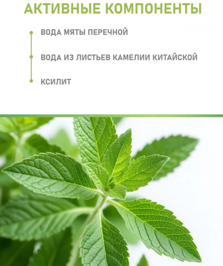 Спрей-освежитель для полости рта «Мята»