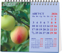 Календарь настольный на 2026 год «Времена года» - Фото 2