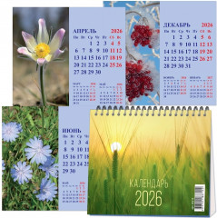 Календарь настольный на 2026 год «Времена года» - Фото 5