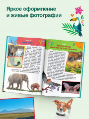 Энциклопедия-викторина - Фото 5