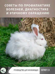 Ангорские кролики. Практическое руководство по содержанию - Фото 6