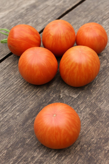 Колекционные семена томата «Эльберта персиковая»