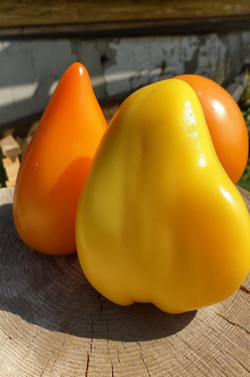 Колекционные семена томата «Сердце Любы»