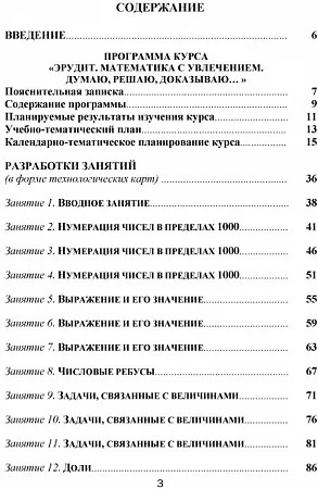 Эрудит. Математика с увлечением. 3 класс. Программа внеурочной деятельности. Методическое пособие