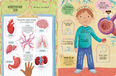 Большая книга с окошками. Тело человека - Фото 1